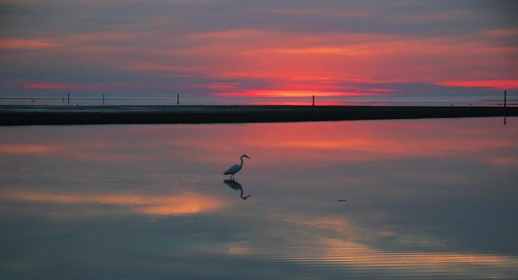 Appartamenti In Villa Lugnan Grado Esterno foto