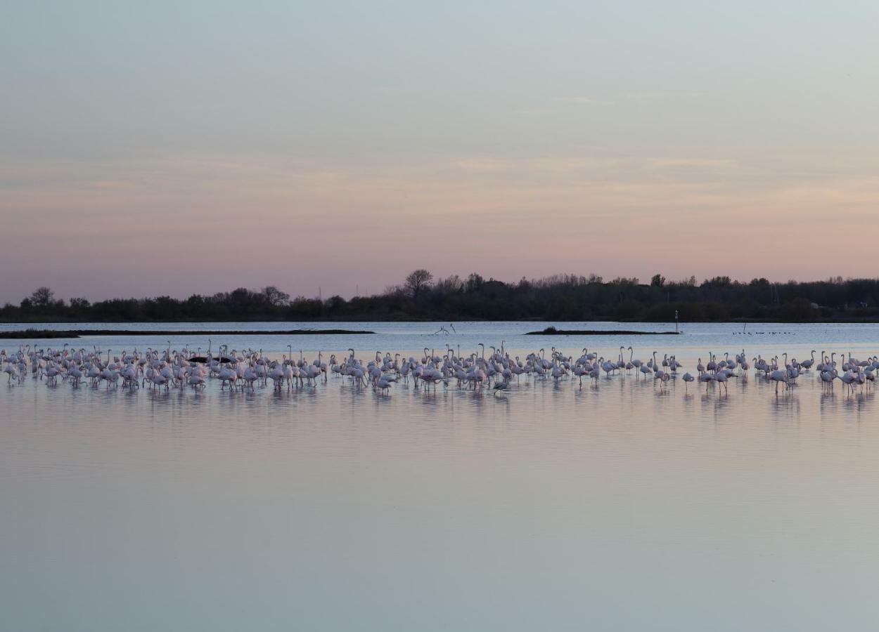 Appartamenti In Villa Lugnan Grado Esterno foto