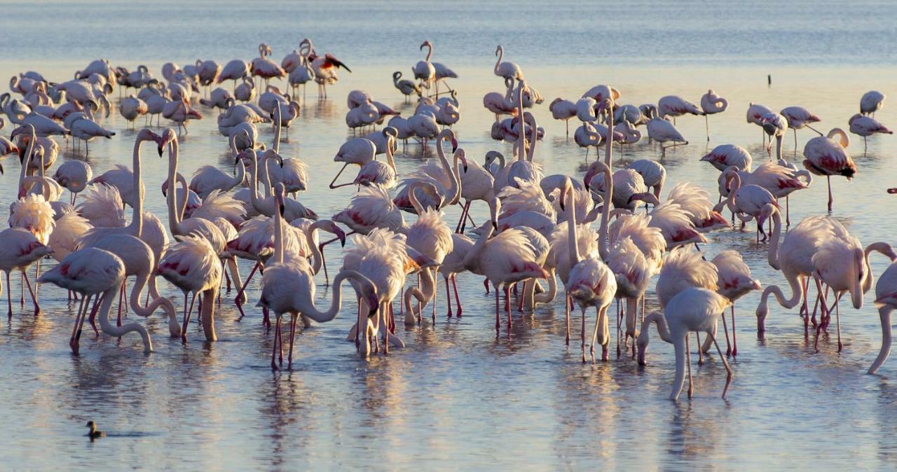 Appartamenti In Villa Lugnan Grado Esterno foto